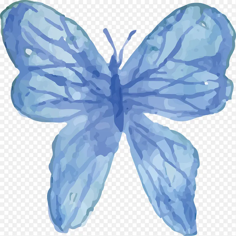 蓝色水彩蝴蝶