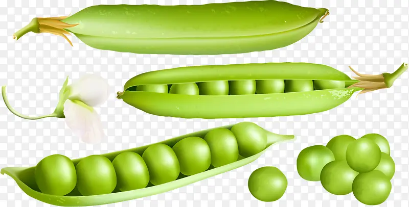 绿荷兰豆