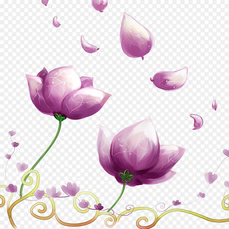 插画紫色花朵