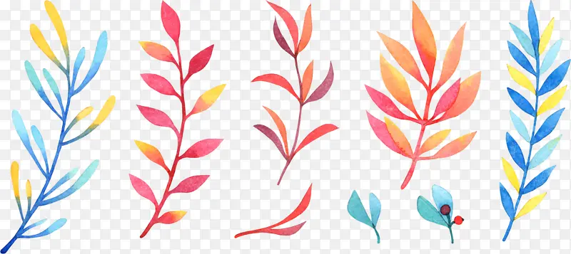 彩色手绘树叶