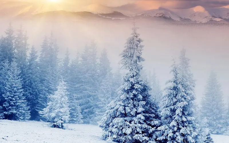 冬季雪景景观图片