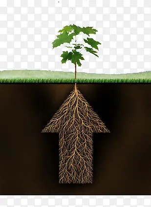 根生蒂固的树PNG图片素材下载_图片编号9732533-PNG素材网