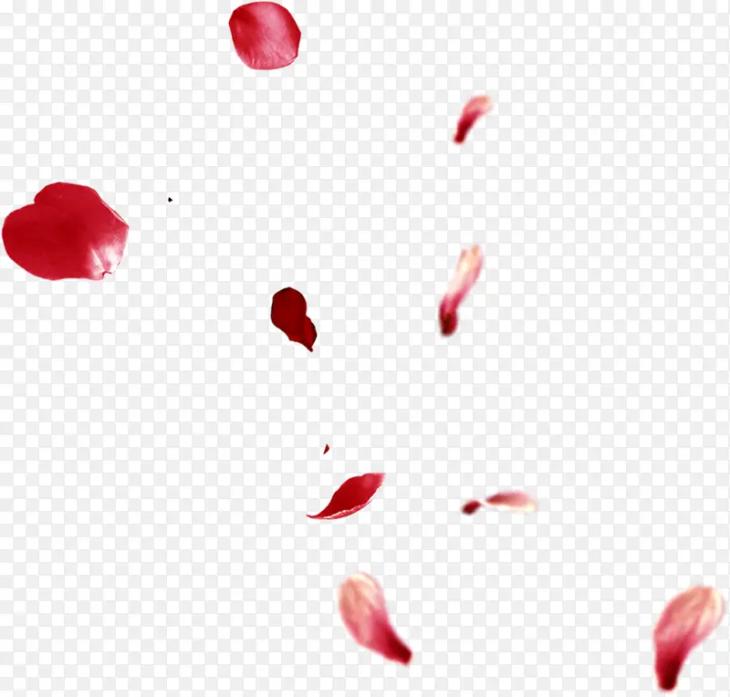 红色创意漂浮花瓣