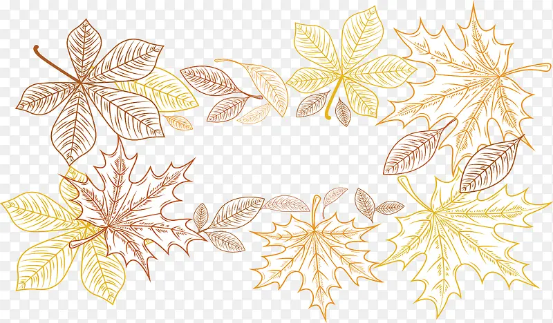 手绘的秋天枫叶标题框花纹