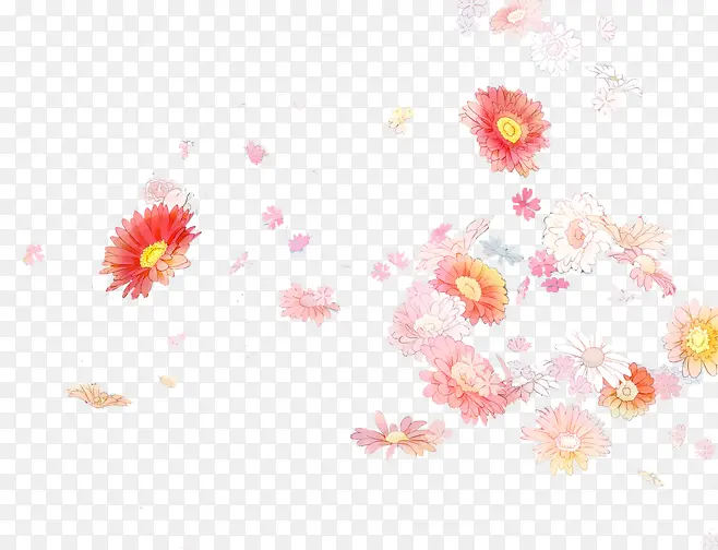 粉红菊花花朵装饰