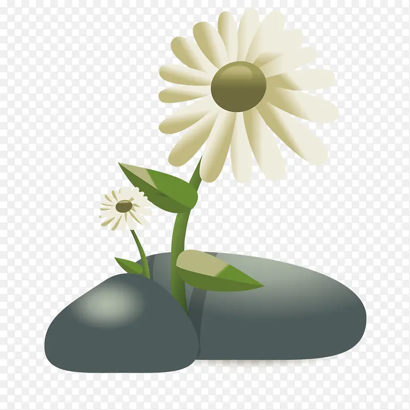 矢量石头缝里的花