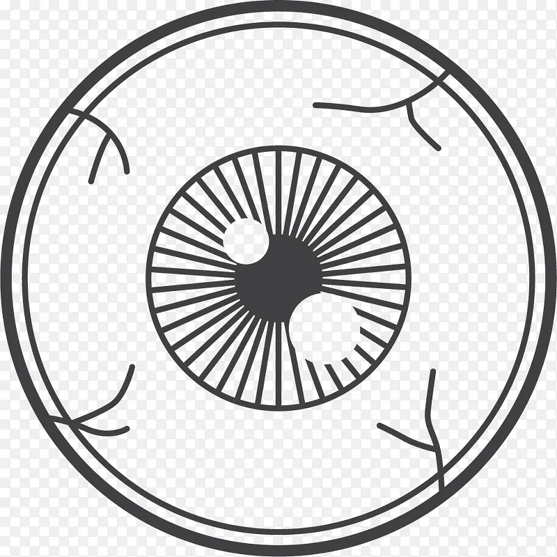 圆形眼球手绘器官图