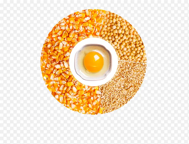 土鸡蛋营养配比素材