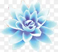 创意合成好看的蓝色莲花