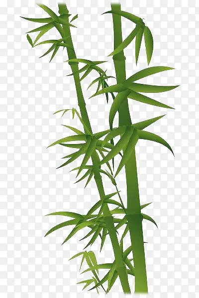 绿色竹子装饰图