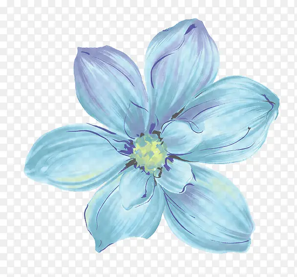 蓝色花朵手绘植物