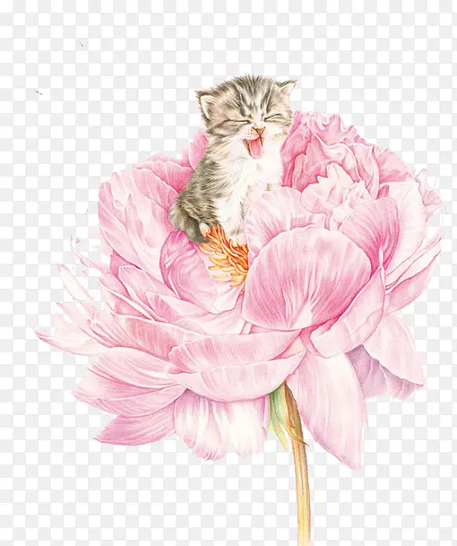 花卉里的小满