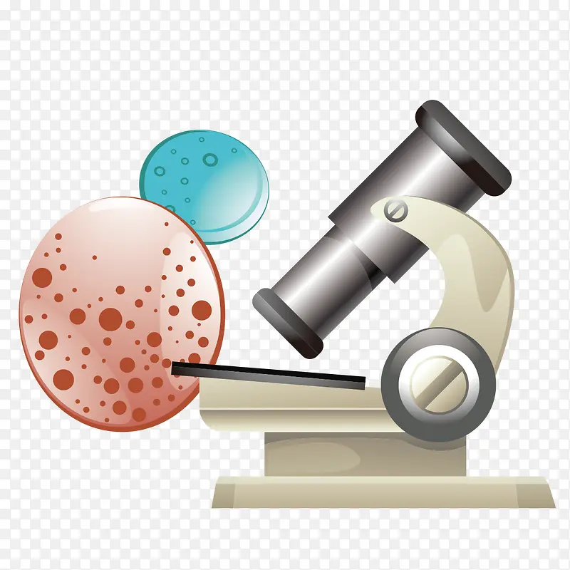 显微镜下细菌