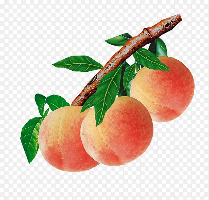 唯美精美水果桃子