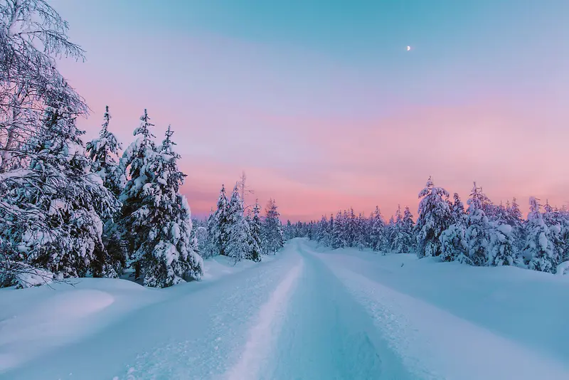 夕阳下雪后小路树林