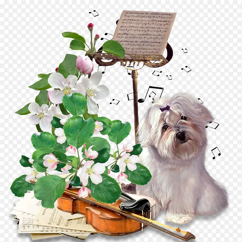 白色小狗音乐鲜花