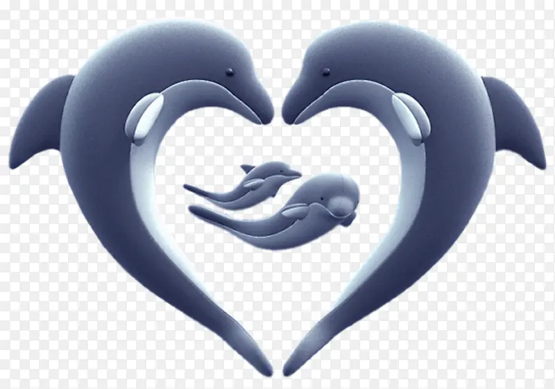 海豚心形