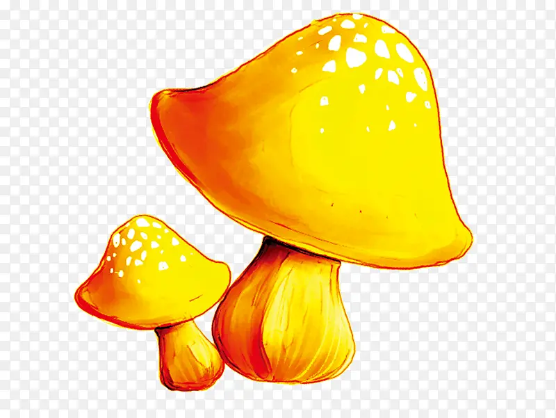 金黄的小蘑菇