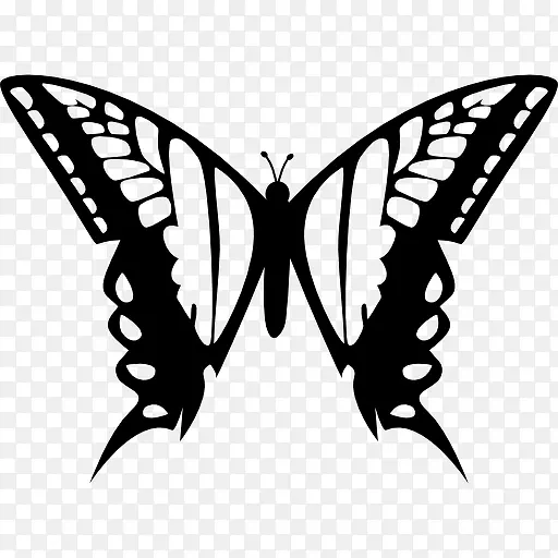 蝴蝶设计的两大翅膀从顶视图图标