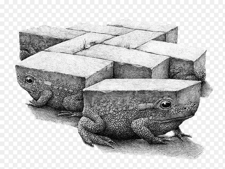 创意插画-石头青蛙