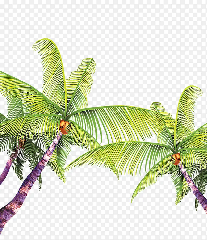 海南椰子树元素素材