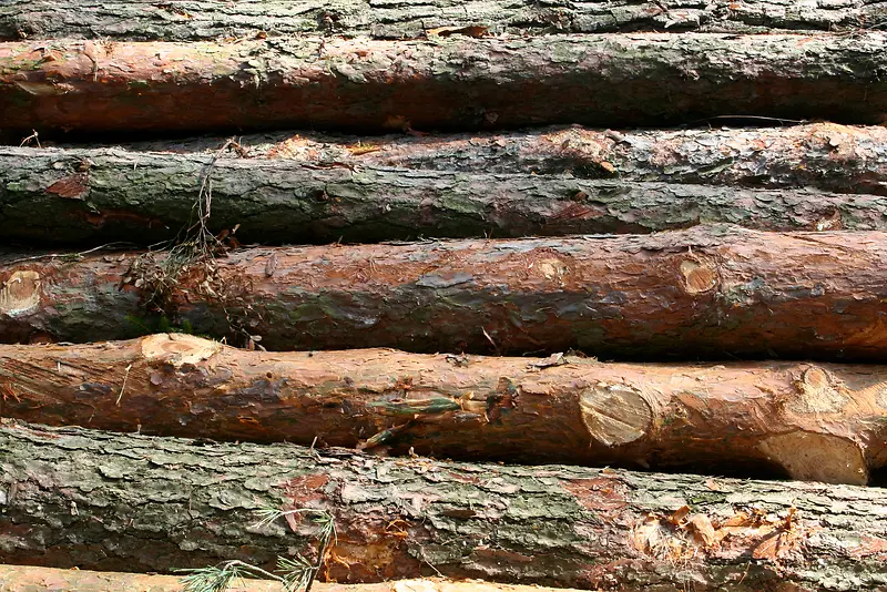 木头木桩背景