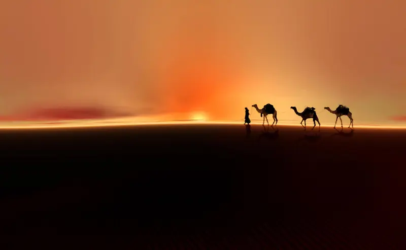 骆驼人物沙漠阳光