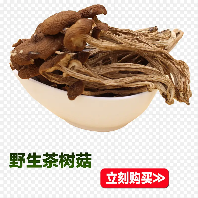 野生茶树菇
