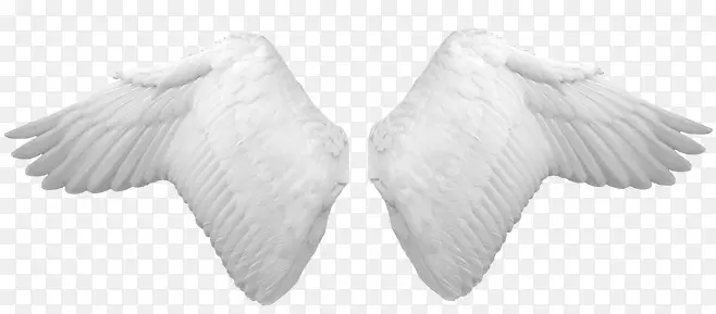 翅膀白色翅膀天使精灵装饰