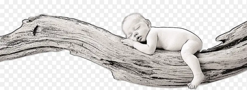 躺在树的婴儿