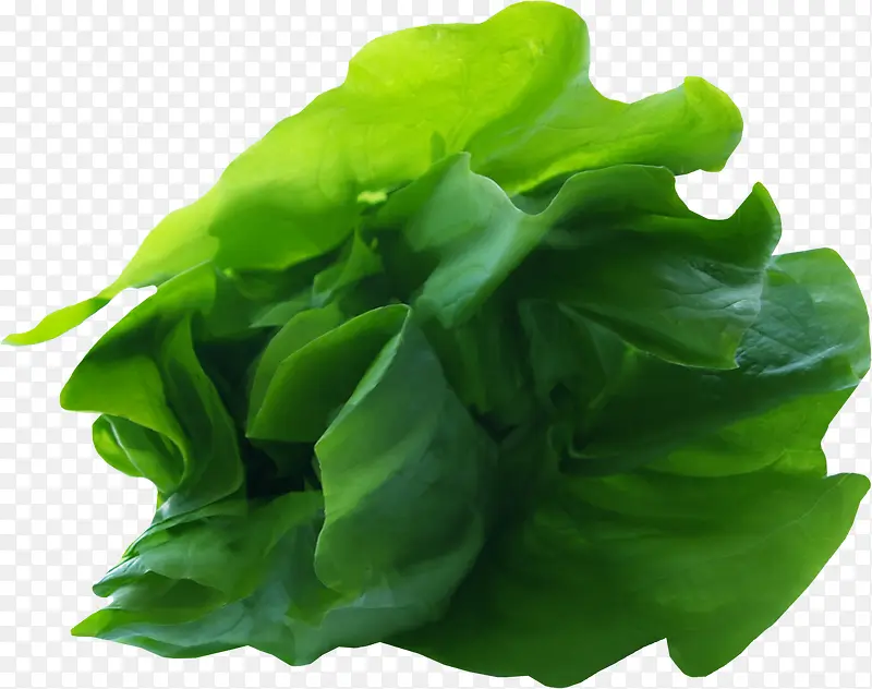 绿色蔬菜叶