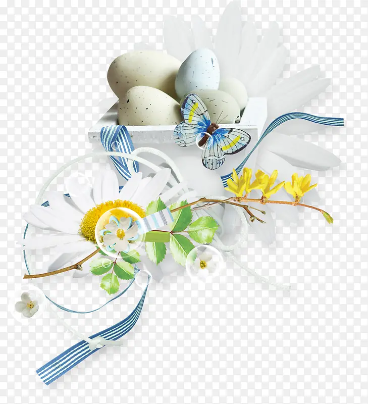 鸟蛋蝴蝶白色黄色花朵