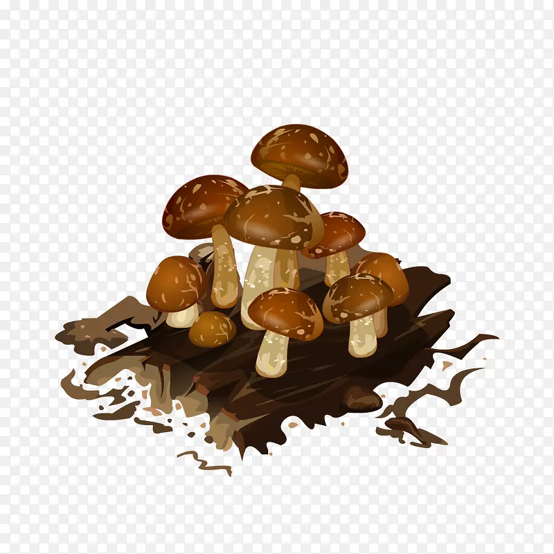 木头蘑菇