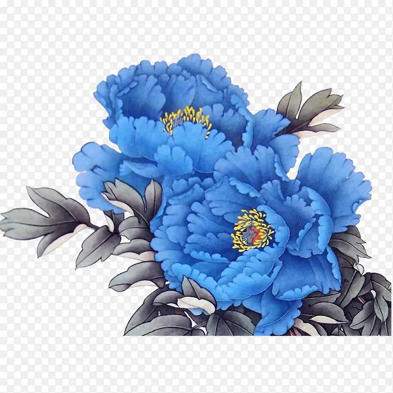 蓝色牡丹花