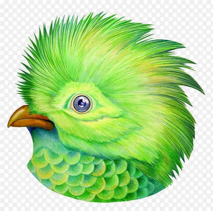 绿色鸟头