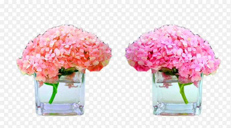 风信子桌花图片素材