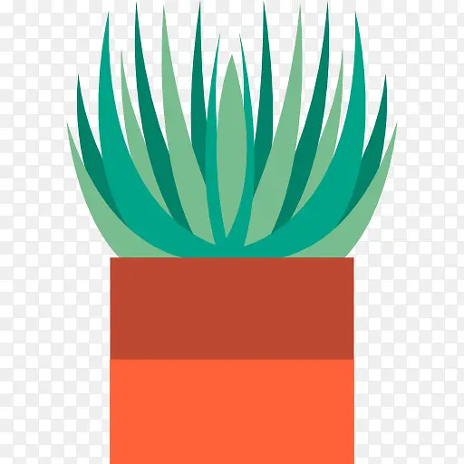 Aloe 图标