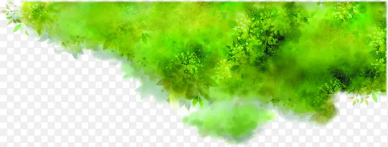 绿色水彩树枝树影