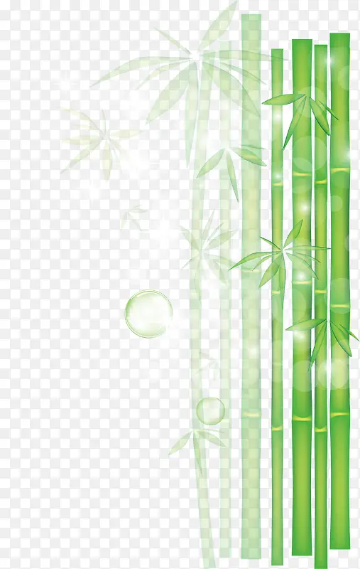 绿色阳光树影竹叶