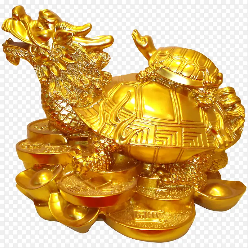 金龙龟和元宝