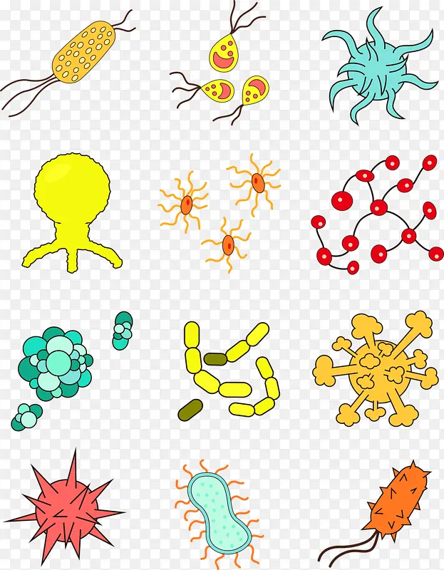 各种细菌