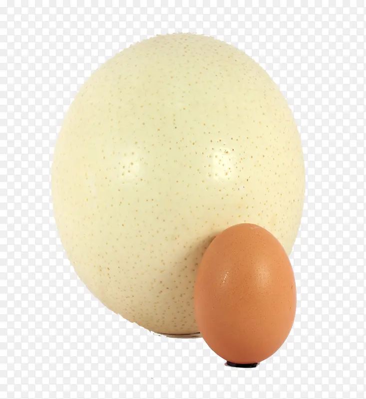 鸵鸟蛋和鸡蛋
