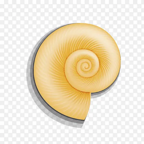 金黄色蜗牛壳