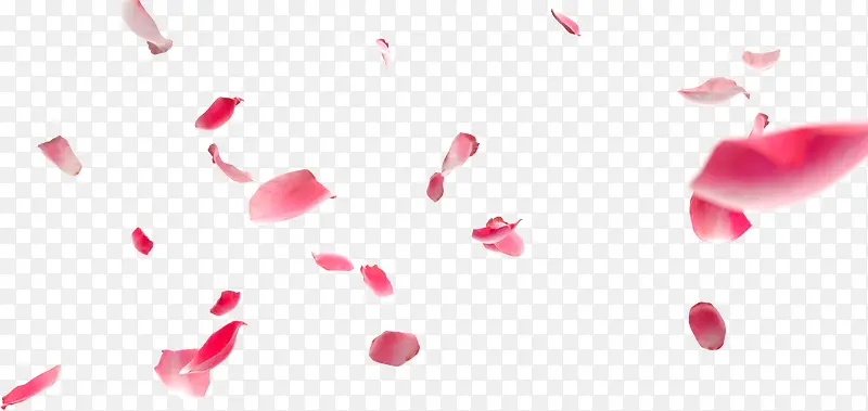 唯美粉红色花朵婚礼