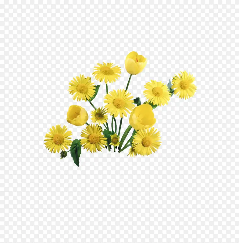 黄色小花节日祝福礼物