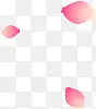 三片粉色花瓣飞舞