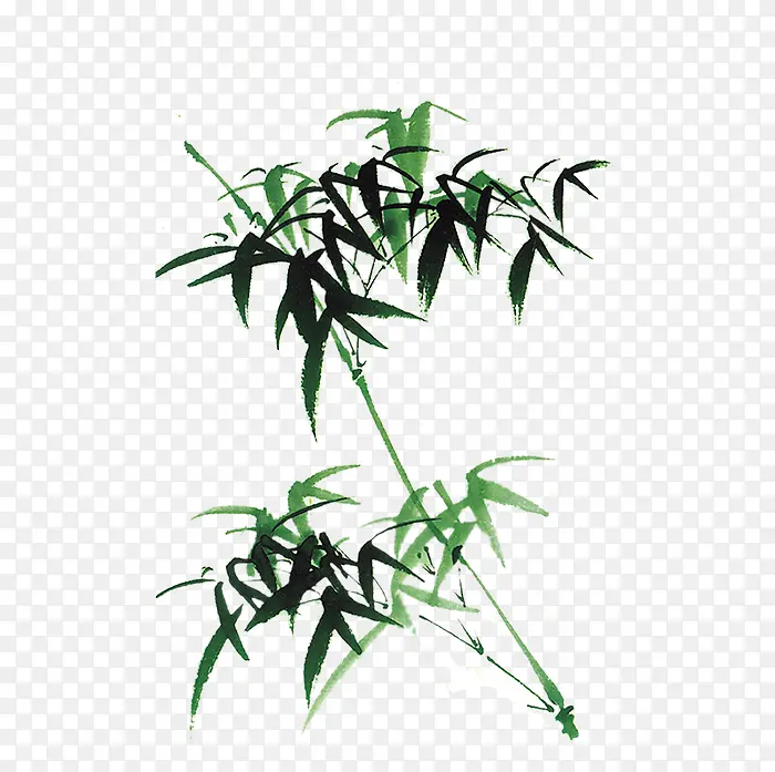彩绘植物竹子水墨竹子