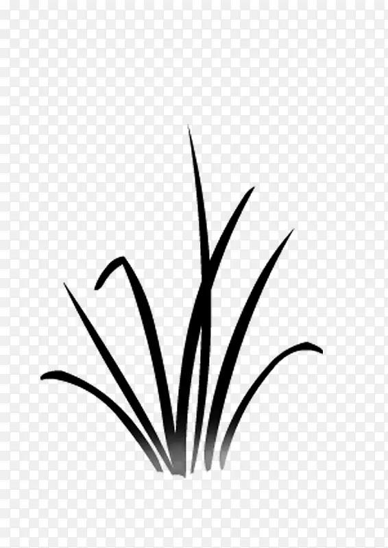 绘画植物 小草 禾苗 黑白