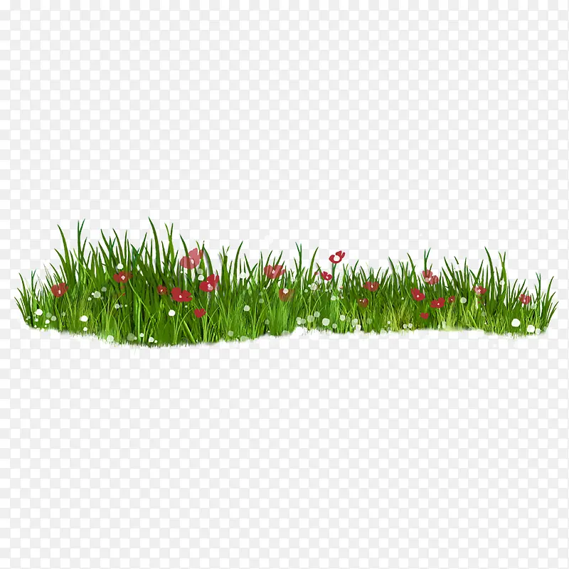 草地草坪绿草