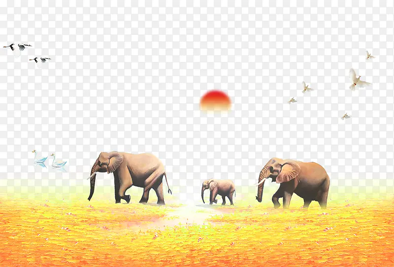 和谐世界